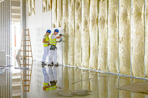 Best Commercial Insulation in Wendover, UT